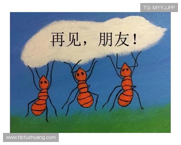 塞欧联合公益足球儿童绘本启航